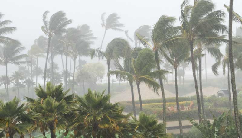 Hurricane